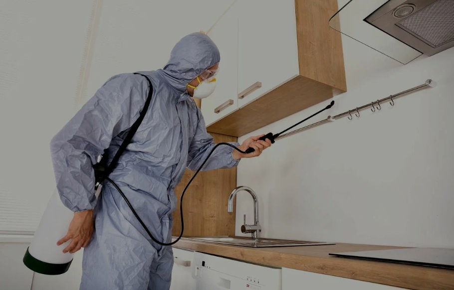 Lake Elsinore pest managment